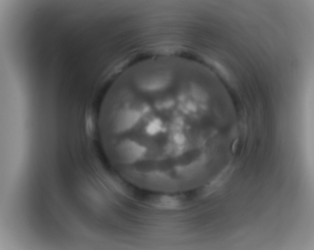 X0000114610166200910201159