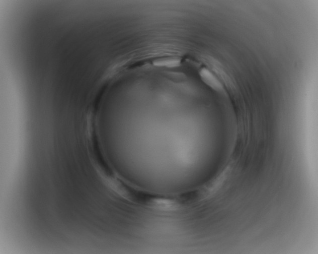 X0000114610167200910201159