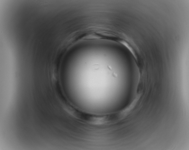 X0000114610170200910201159