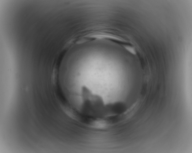 X0000114610171200910201200