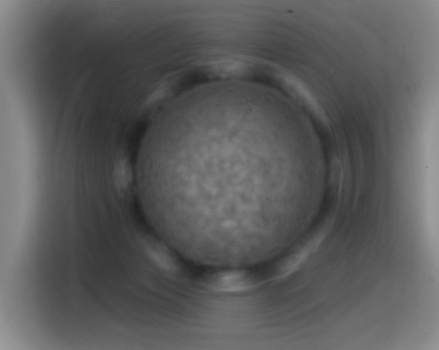 X0000114610173200910201200