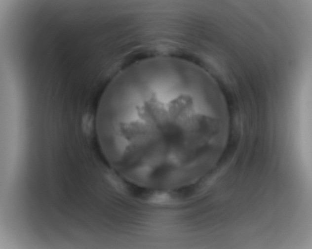 X0000114610177200910201200