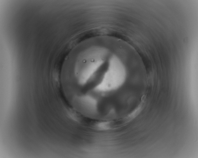 X0000114610178200910201200