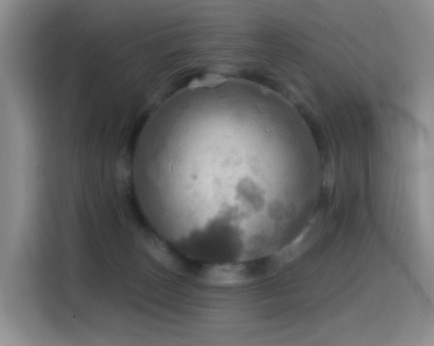 X0000114610179200910201200