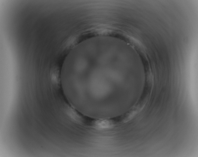 X0000114610181200910201200