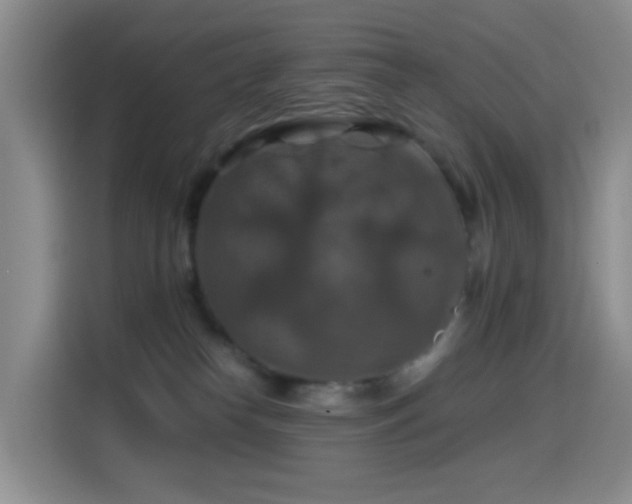 X0000114610182200910201200