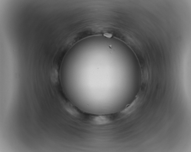 X0000114610183200910201200