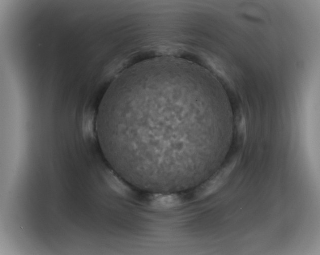 X0000114610185200910201200