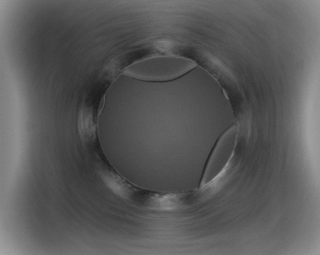 X0000114610186200910201200