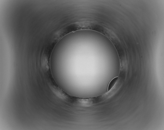 X0000114610187200910201200