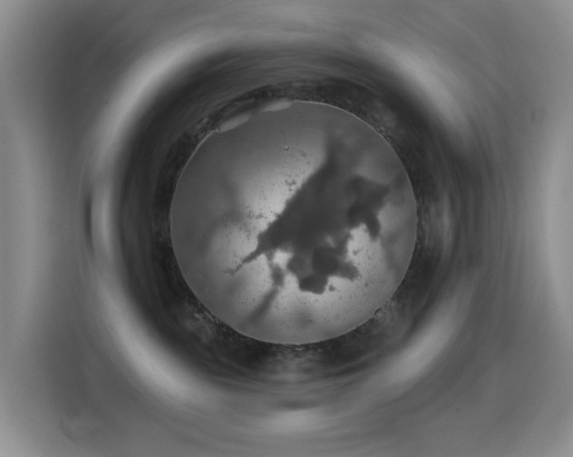 X0000114610189200910201200