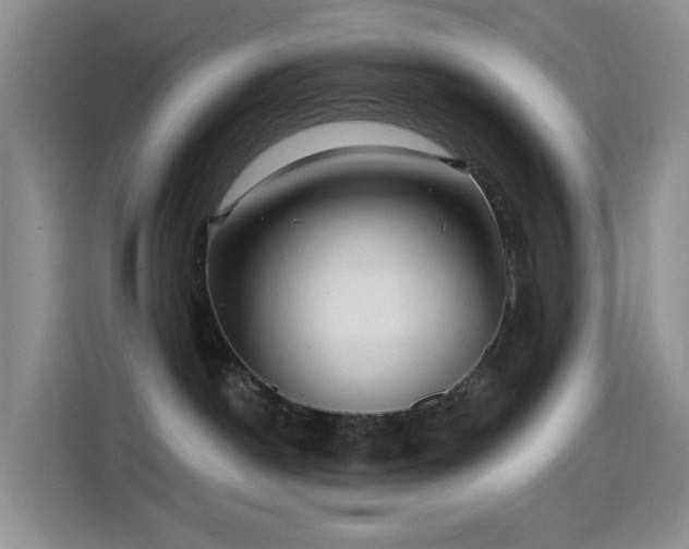 X0000114610190200910201200