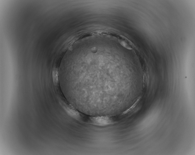 X0000114610191200910201200