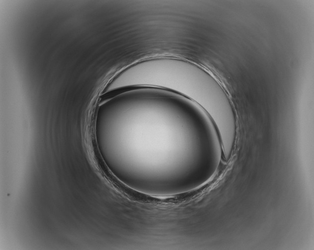 X0000114610193200910201159