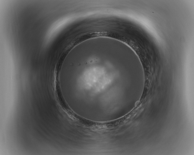 X0000114610194200910201159