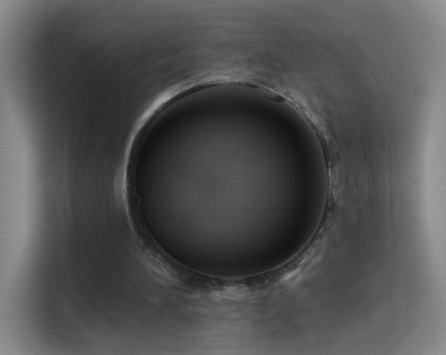 X0000114610196200910201159