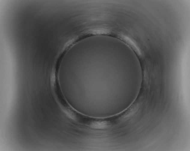 X0000114610202200910201159