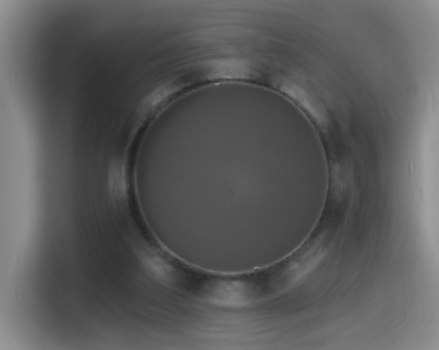 X0000114610203200910201159