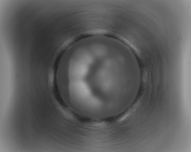 X0000114610206200910201159