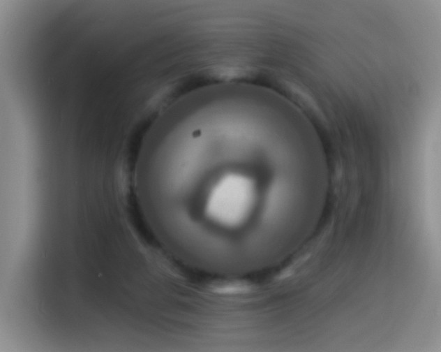 X0000114610210200910201159