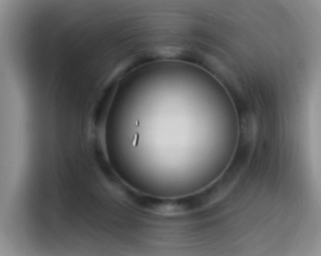 X0000114610212200910201159