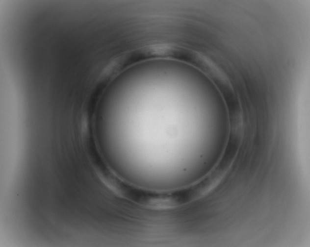 X0000114610213200910201159