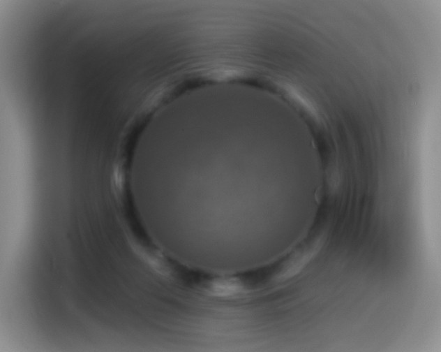 X0000114610214200910201159