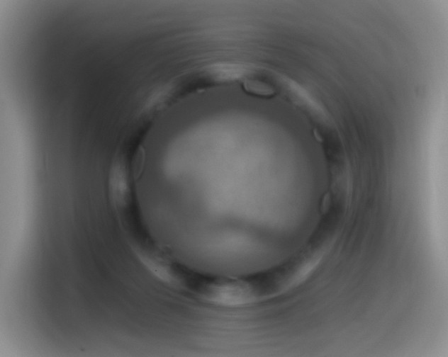 X0000114610215200910201159