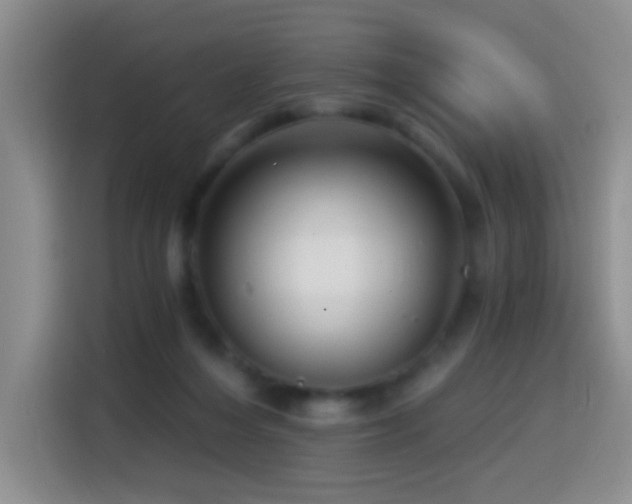 X0000114610216200910201159