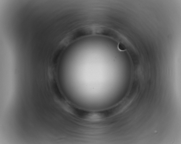 X0000114610218200910201159