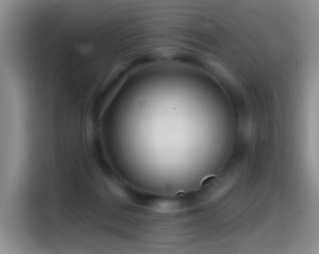 X0000114610220200910201159