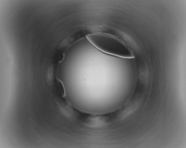 X0000114610221200910201159