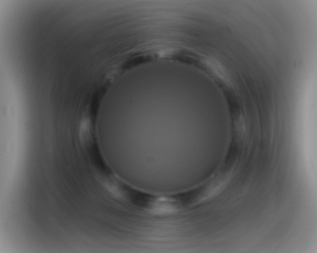 X0000114610222200910201159