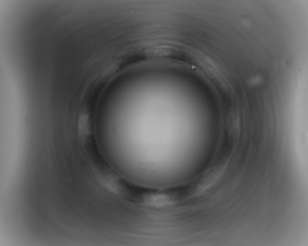 X0000114610224200910201159