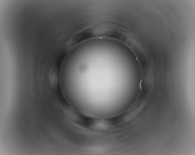 X0000114610226200910201159