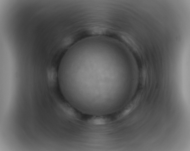 X0000114610228200910201159