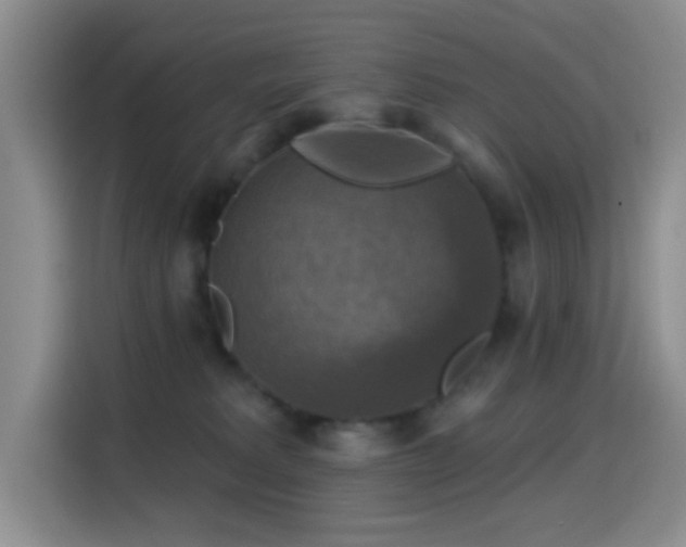 X0000114610229200910201159