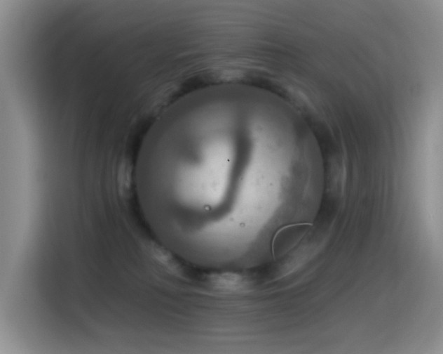 X0000114610230200910201159