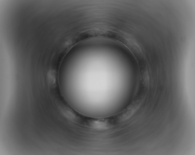 X0000114610232200910201159