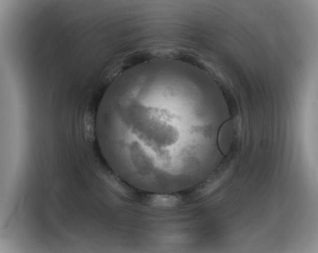 X0000114610234200910201159