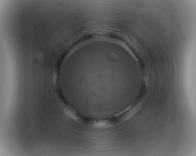 X0000114610235200910201159