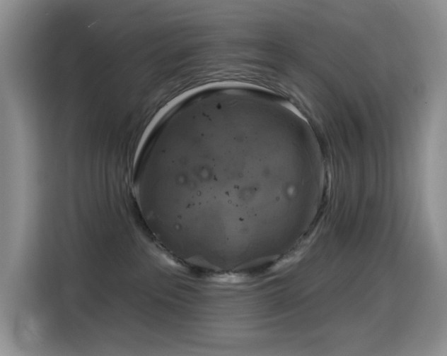 X0000114610237200910201159