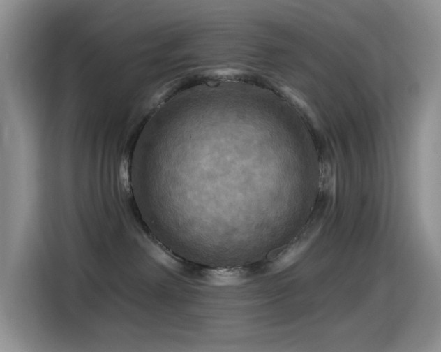 X0000114610238200910201159