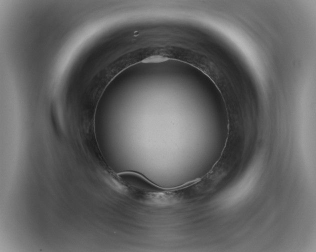 X0000114610239200910201159