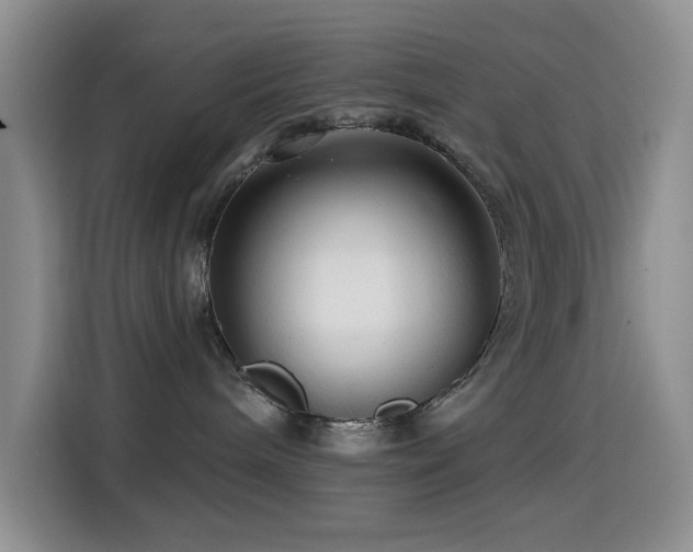 X0000114610240200910201159