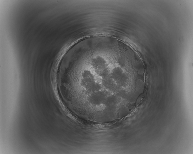 X0000114610241200910201158