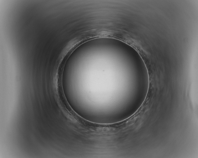 X0000114610242200910201158