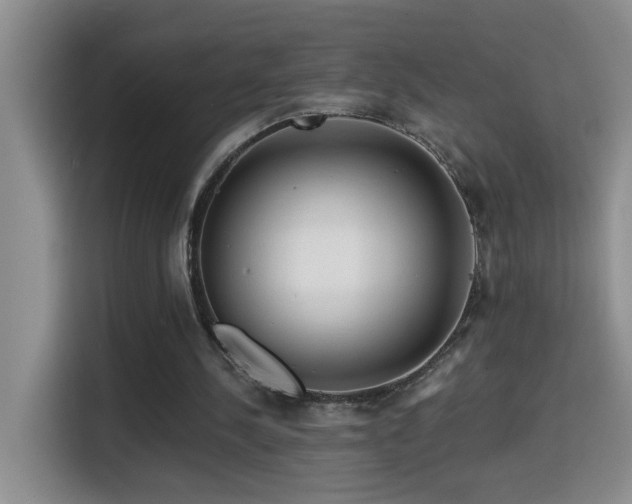 X0000114610244200910201158