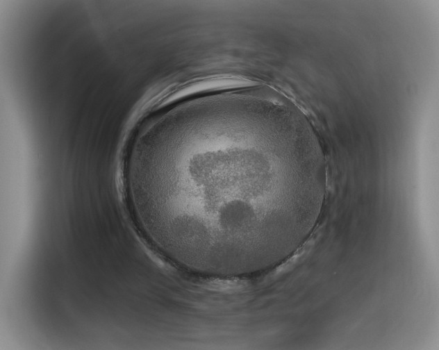 X0000114610245200910201158