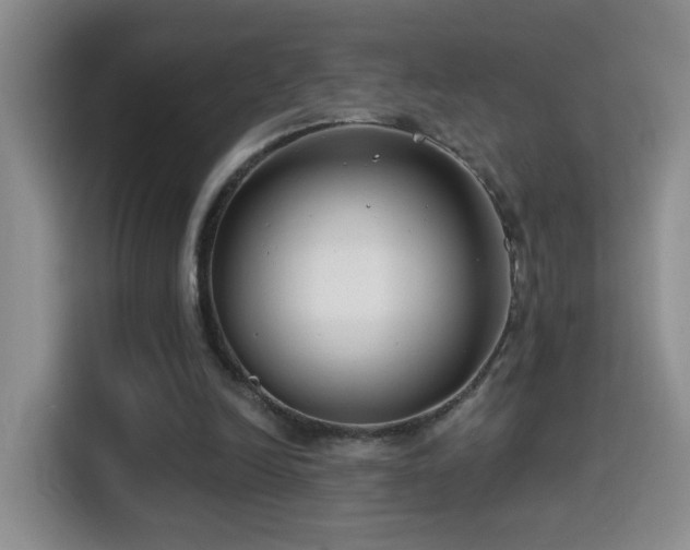 X0000114610246200910201158